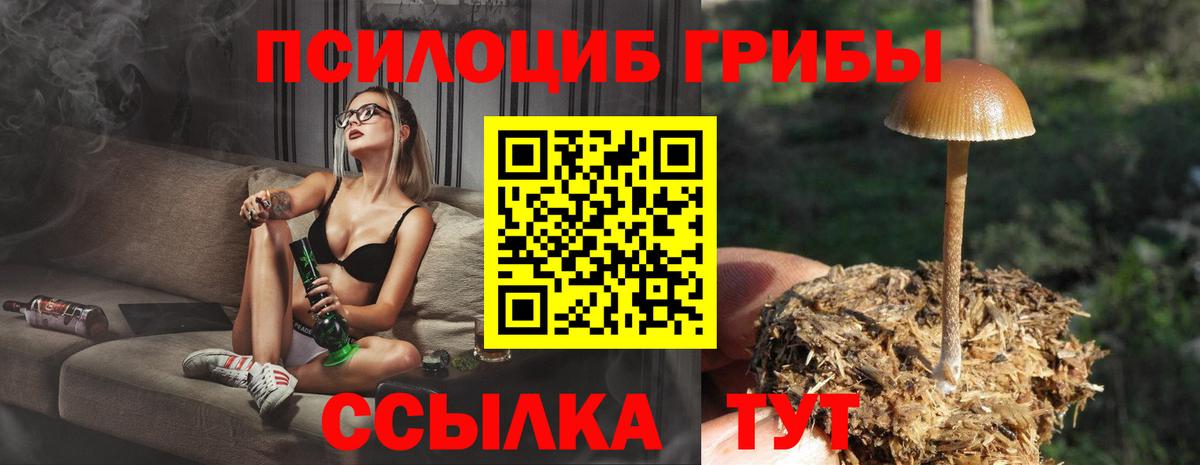 Комсомольск-на-Амуре  Галлюциногенные грибы GOLDEN TEACHER  Вход с VPN 